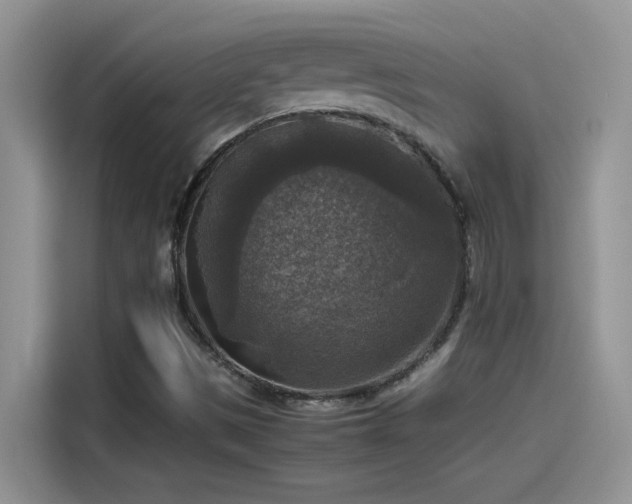 X0000115511497200911131330