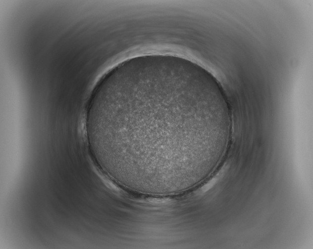 X0000115511498200911131330