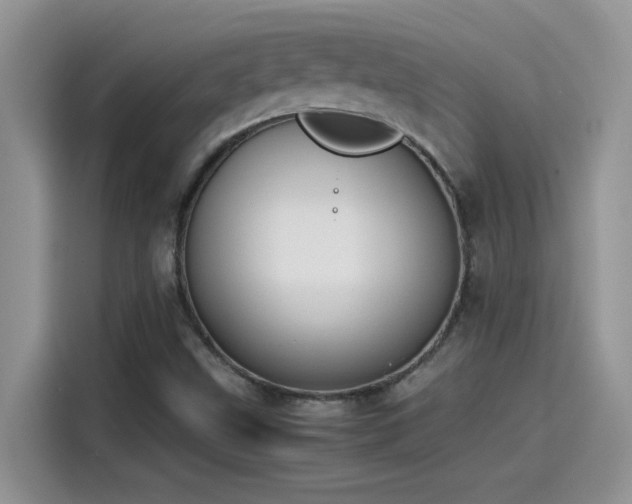 X0000115511499200911131330