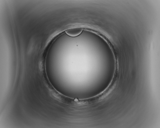 X0000115511501200911131330