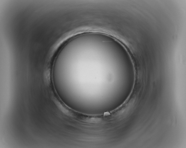 X0000115511503200911131330