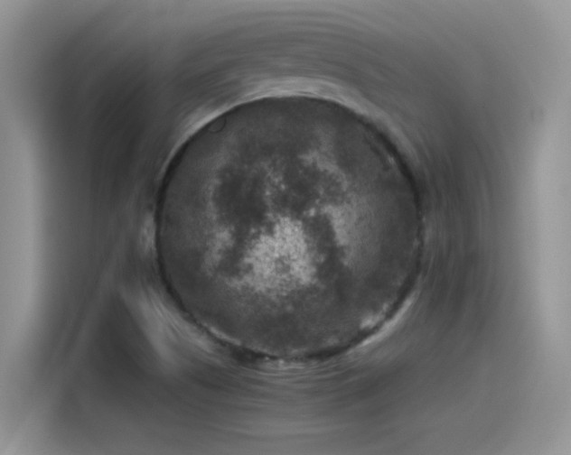 X0000115511505200911131330