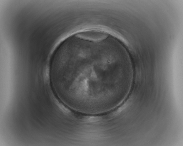 X0000115511506200911131330