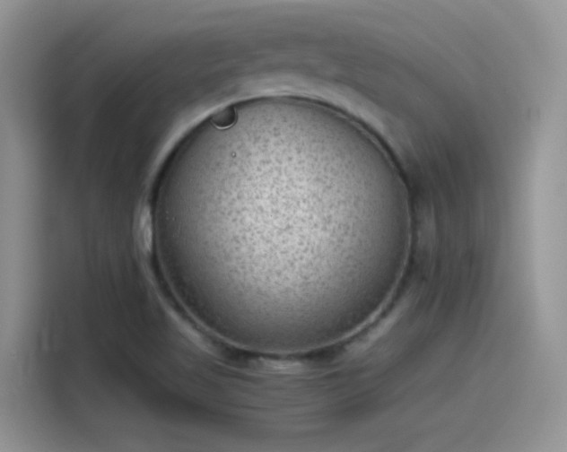 X0000115511509200911131330