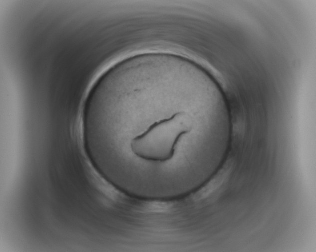 X0000115511514200911131330