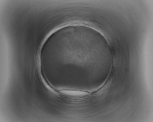 X0000115511515200911131331