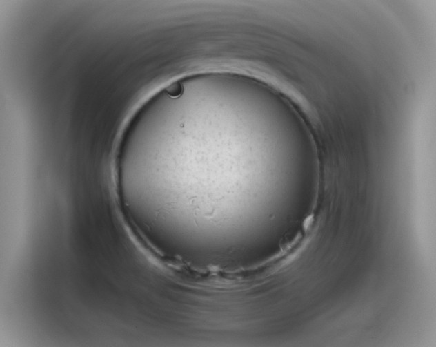 X0000115511517200911131331