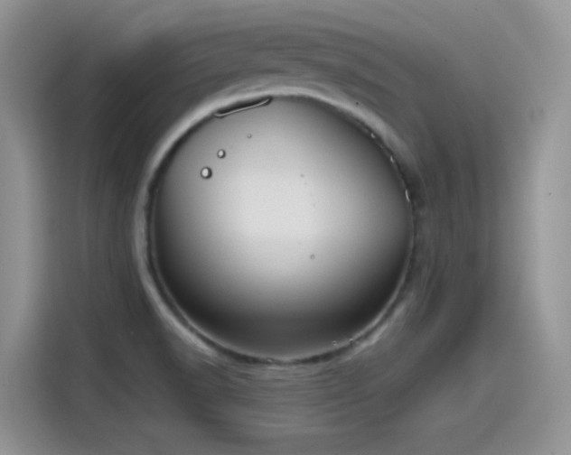 X0000115511518200911131331