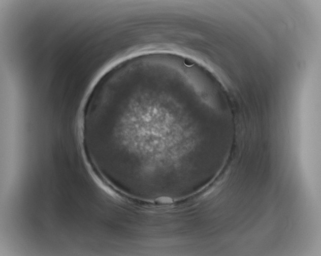 X0000115511519200911131331