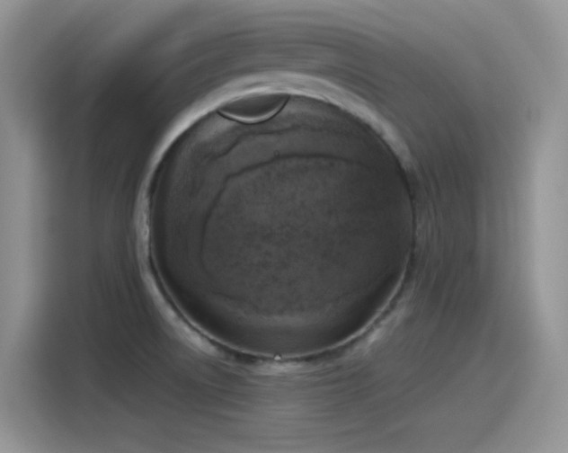 X0000115511522200911131331