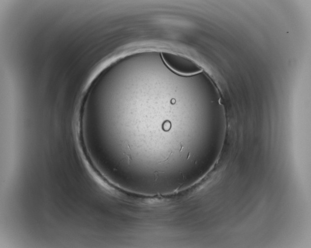 X0000115511523200911131331