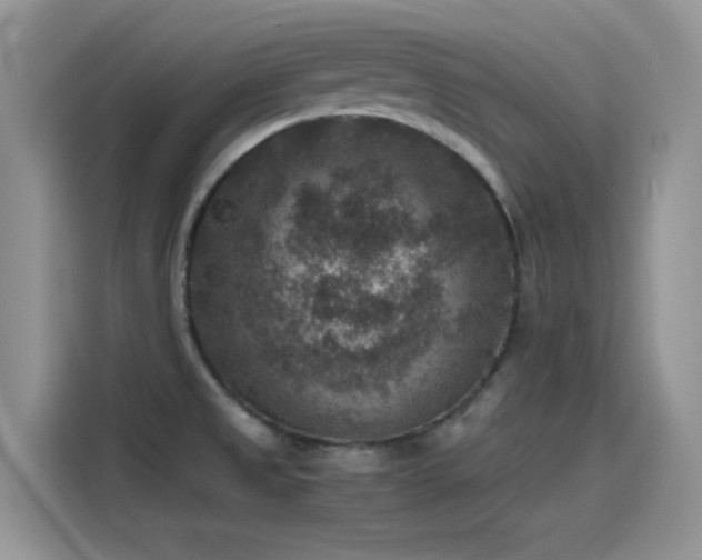 X0000115511525200911131331