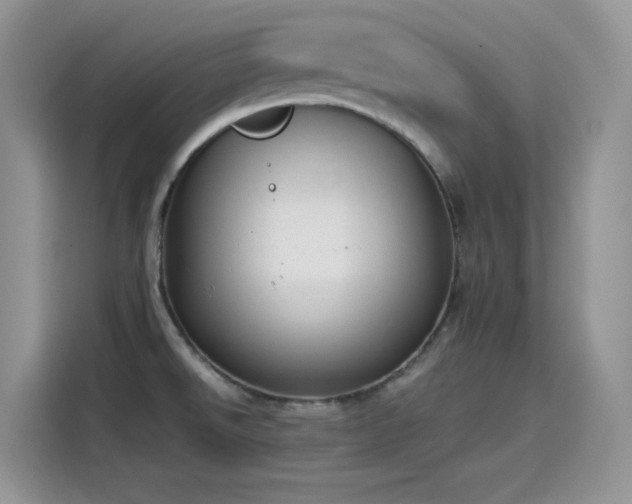 X0000115511526200911131331