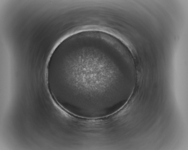 X0000115511527200911131331