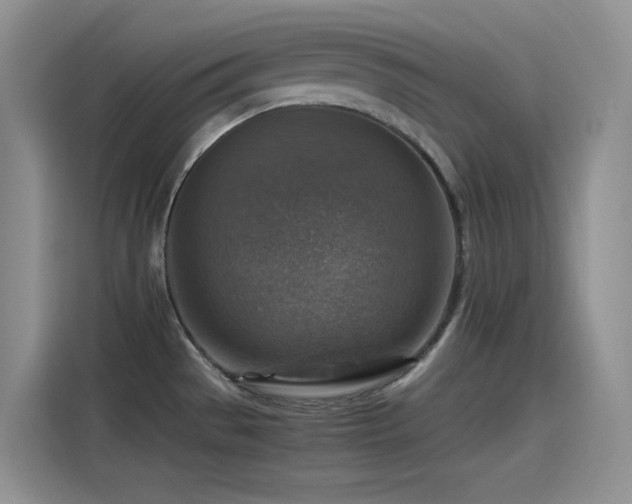 X0000115511529200911131331