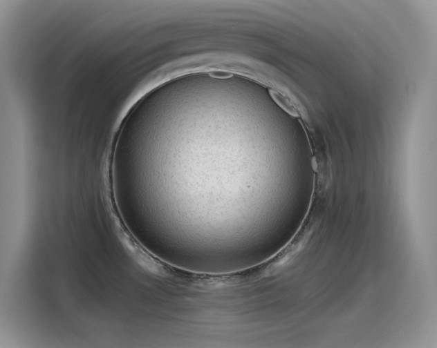 X0000115511530200911131331