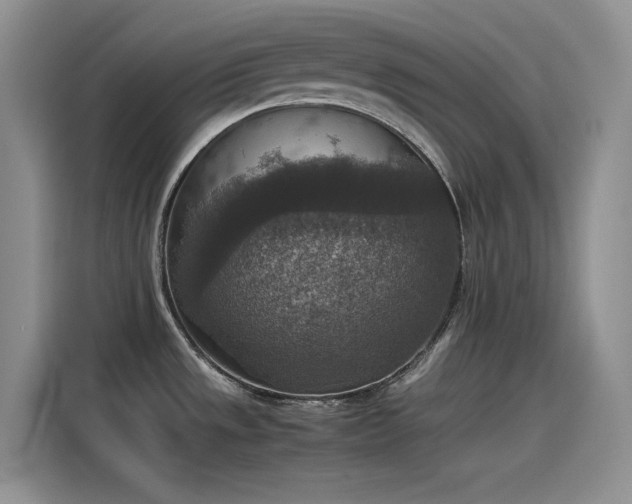 X0000115511533200911131331