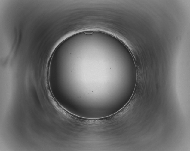 X0000115511534200911131331