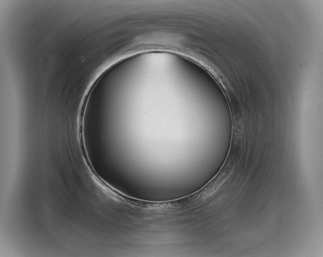 X0000115511535200911131331