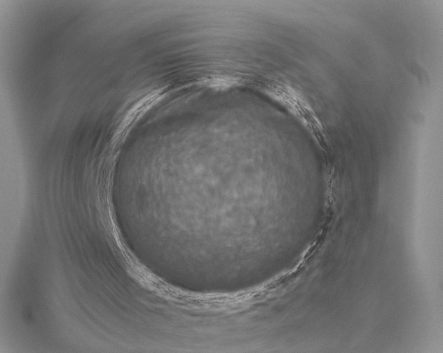 X0000115510001200911201648