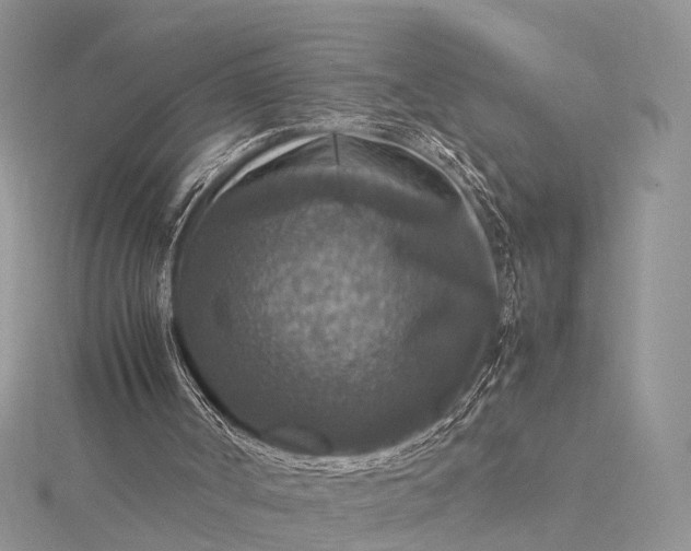 X0000115510002200911201648