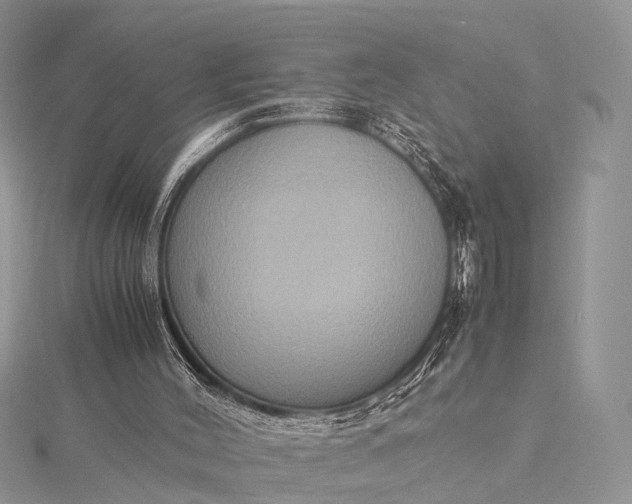 X0000115510004200911201648