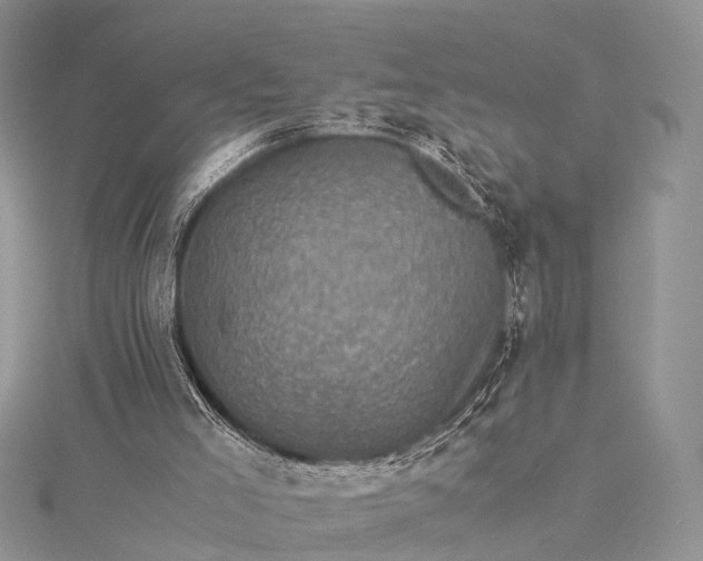 X0000115510005200911201648