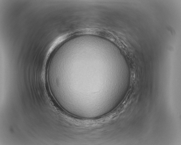 X0000115510006200911201648