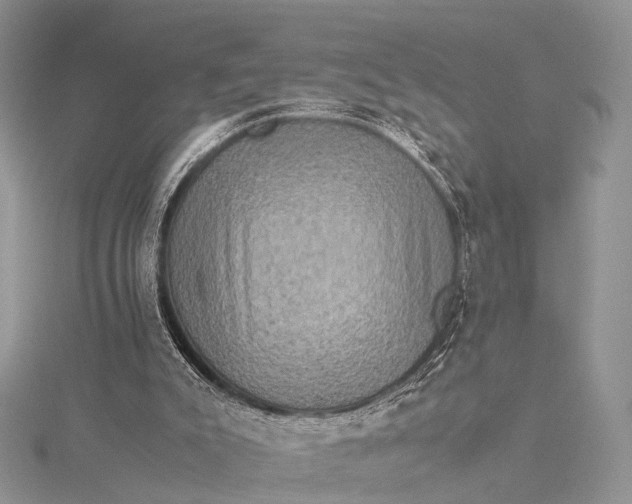 X0000115510007200911201648