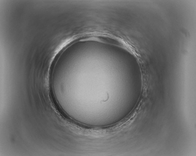 X0000115510008200911201648