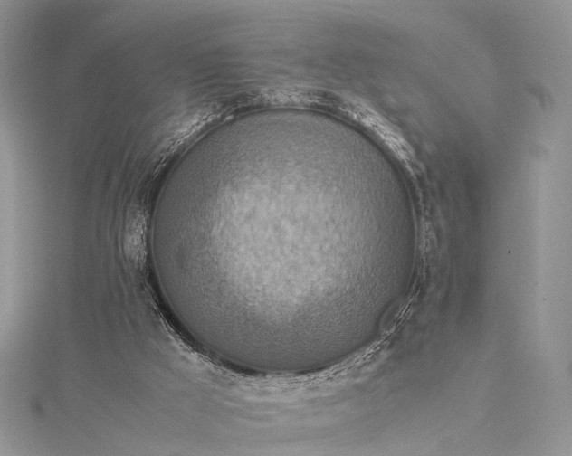 X0000115510009200911201648