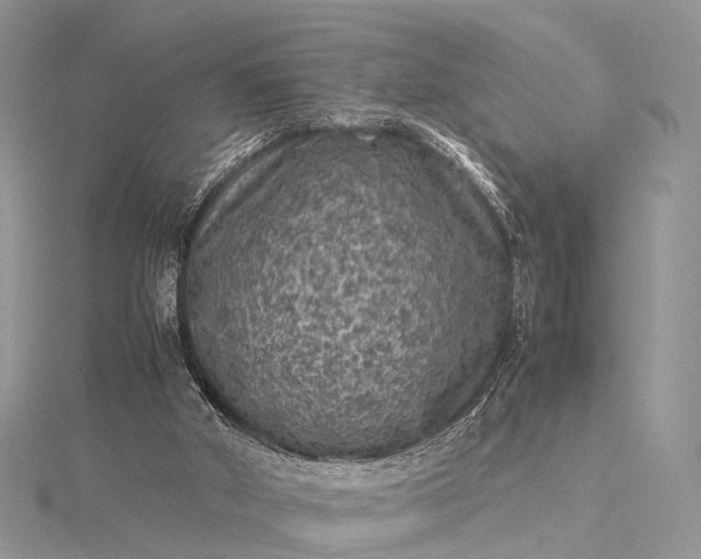 X0000115510010200911201648