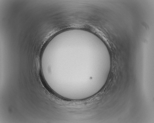 X0000115510011200911201648