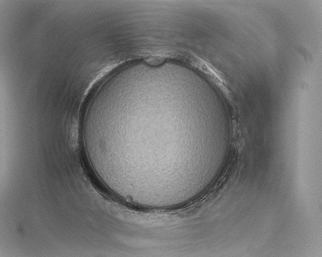 X0000115510012200911201648