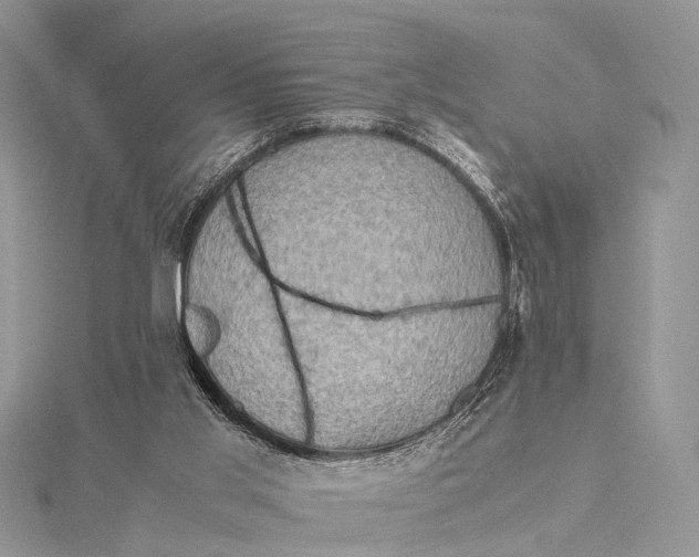 X0000115510013200911201648