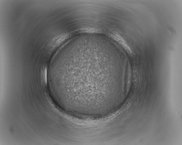 X0000115510014200911201648