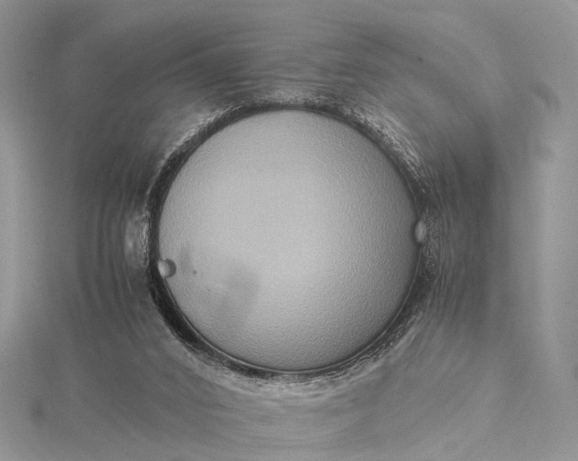 X0000115510016200911201648