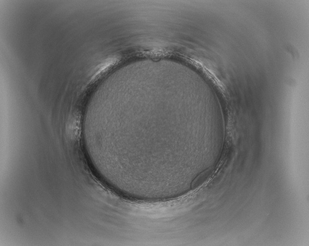 X0000115510017200911201648