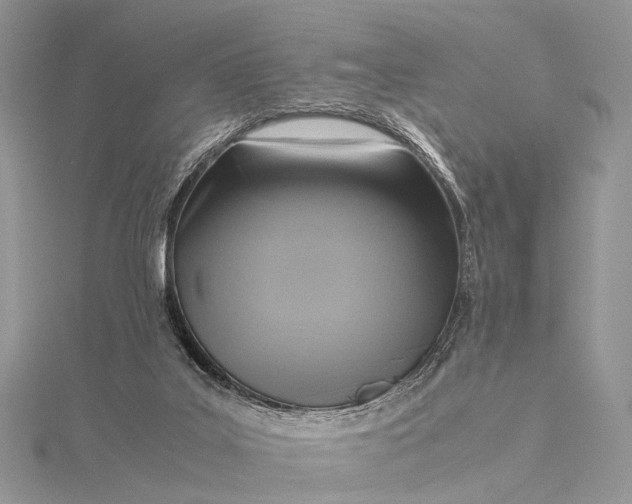 X0000115510019200911201648