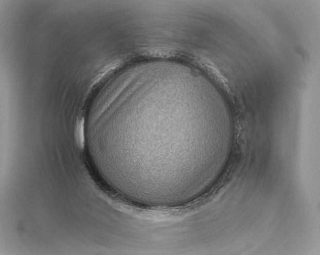 X0000115510020200911201648