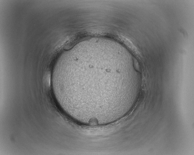 X0000115510021200911201648