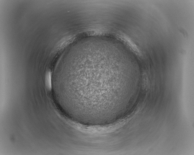 X0000115510022200911201648