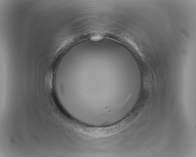 X0000115510023200911201648