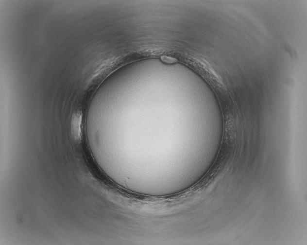 X0000115510024200911201647