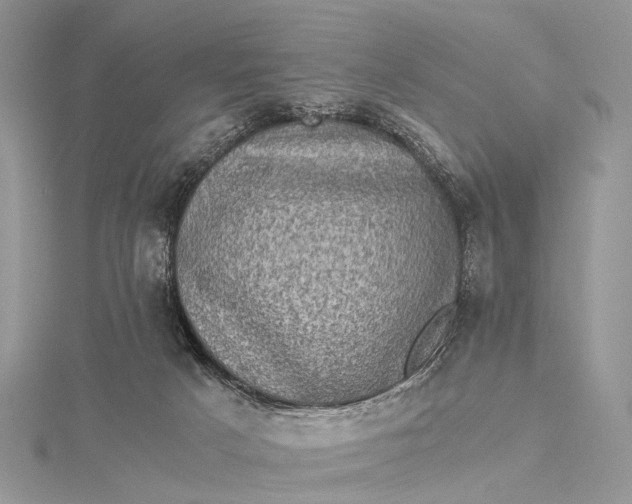 X0000115510025200911201647