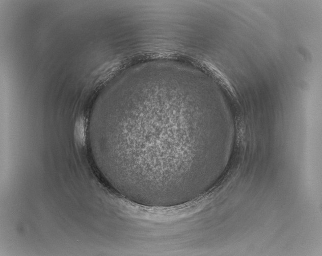 X0000115510026200911201647