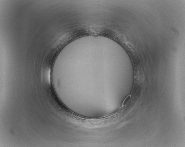 X0000115510027200911201647