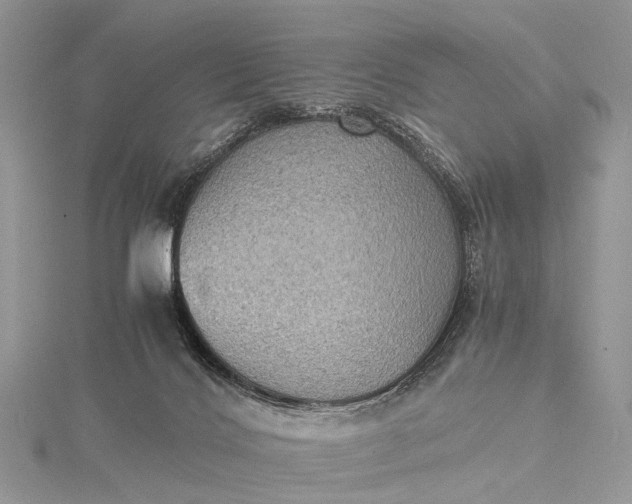 X0000115510028200911201647