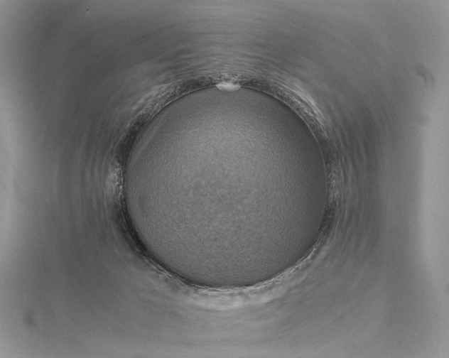 X0000115510029200911201647