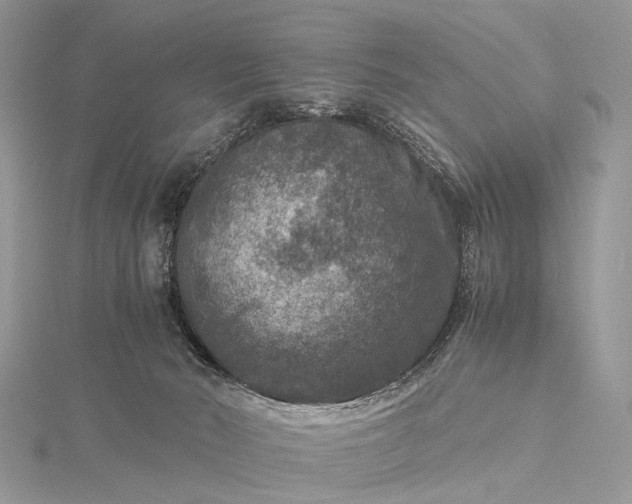 X0000115510030200911201647